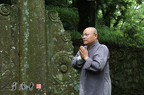 「普陀山」浙江灵隐寺方丈光泉大和尚率众三步一拜朝圣普陀山