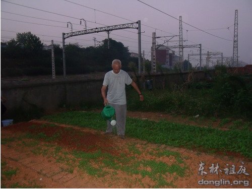 「佛教」东林慈善安养院“三安关怀”纪实报道之—我的快乐时光