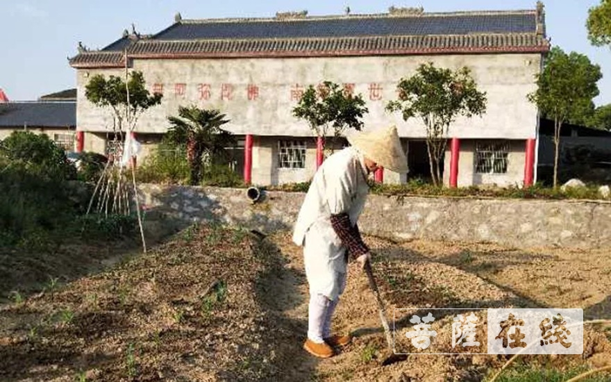 「佛教」抢抓农时,自力更生,湖北各寺掀起春耕生产热潮 「佛教」抢抓农时,自力更生,湖北各寺掀起春耕生产热潮