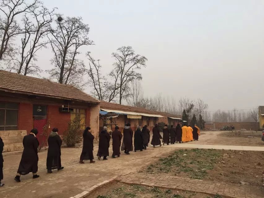 「邢台」2015年河北邢台净域寺冬季佛七圆满
