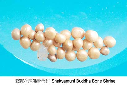 「释迦牟尼」见者得福，释迦牟尼舍利