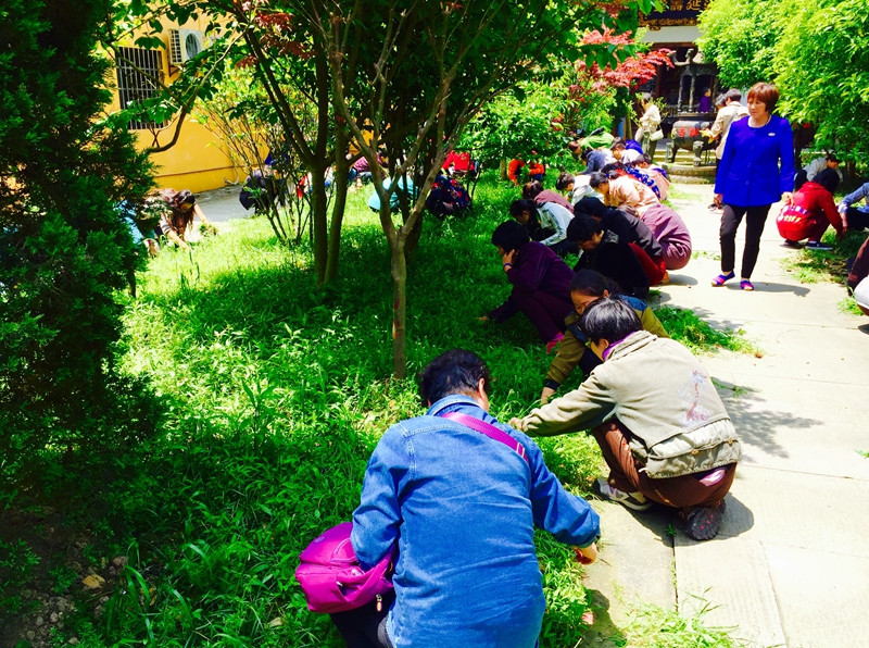 「药师经」2016年国际劳动节浙江宁波慧日禅寺启建《药师经》诵读法会 「药师经」2016年国际劳动节浙江宁波慧日禅寺启建《药师经》诵读法会