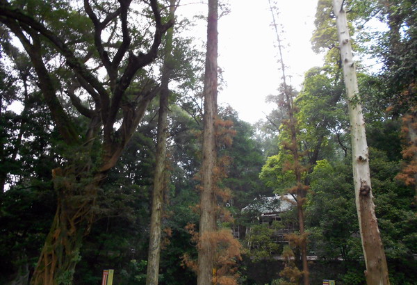 「南华寺」水月清梅：曹溪南华寺撷影
