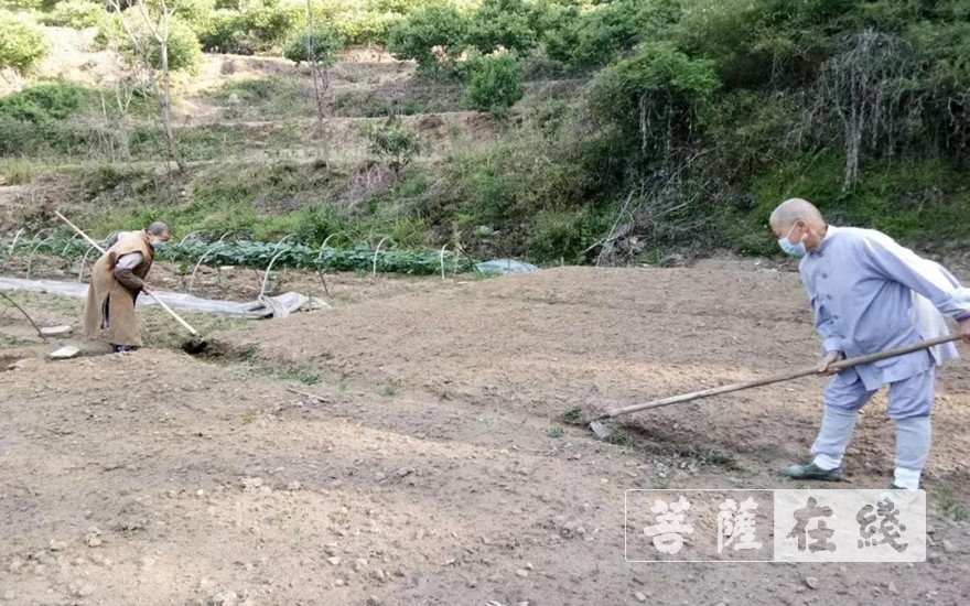 「佛教」抢抓农时,自力更生,湖北各寺掀起春耕生产热潮 「佛教」抢抓农时,自力更生,湖北各寺掀起春耕生产热潮