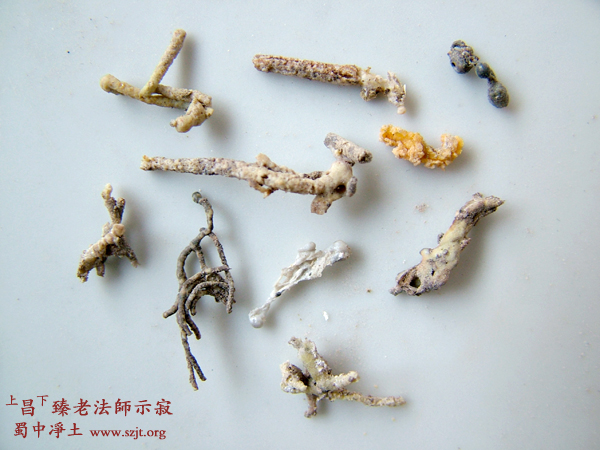 「昌臻法师」昌臻老法师示寂舍利照片 「昌臻法师」昌臻老法师示寂舍利照片