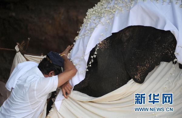「大象」斯里兰卡下葬55岁大象