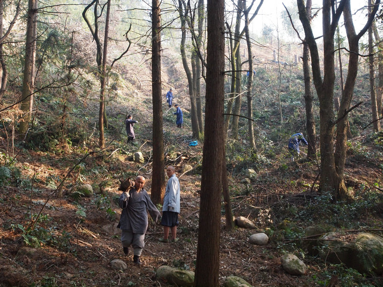 「佛教」江西九江东林寺僧众集体出坡劳作 合力兴丛林 「佛教」江西九江东林寺僧众集体出坡劳作 合力兴丛林