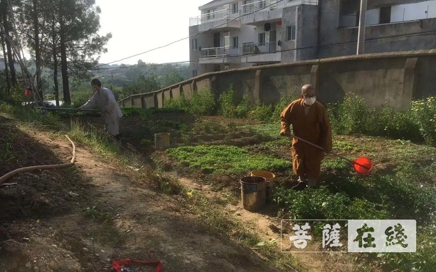 「佛教」抢抓农时,自力更生,湖北各寺掀起春耕生产热潮 「佛教」抢抓农时,自力更生,湖北各寺掀起春耕生产热潮