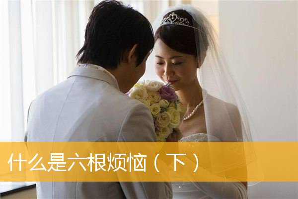 「文化」什么是六根烦恼（下）