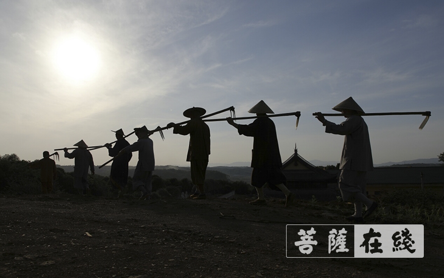 「佛教」浙江省嵊州市常乐寺和新昌县平顶寺僧众组织学习 「佛教」浙江省嵊州市常乐寺和新昌县平顶寺僧众组织学习