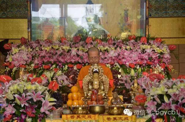 「华严」广东四会六祖寺首届华严法会