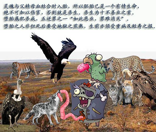 「佛教」奇异动漫　佛经中的鬼故事01（萌版）
