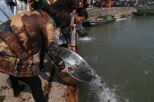 「灵隐寺」浙江杭州灵隐寺举行乙未年首次大型放生活动 「灵隐寺」浙江杭州灵隐寺举行乙未年首次大型放生活动