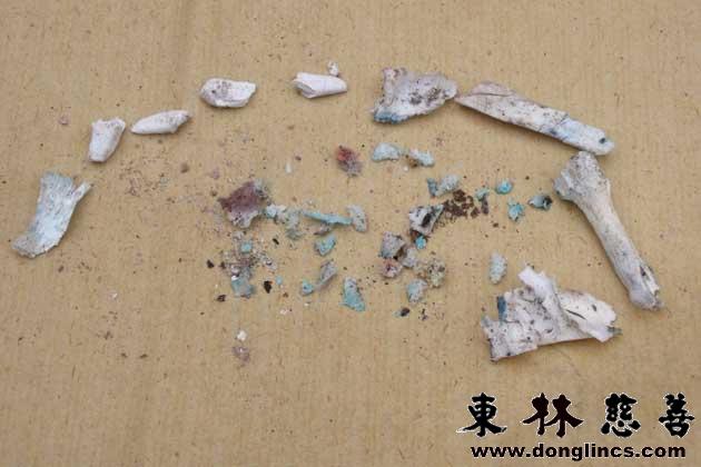 「佛教」东林慈善安养院莲花档案：胡华金居士往生记