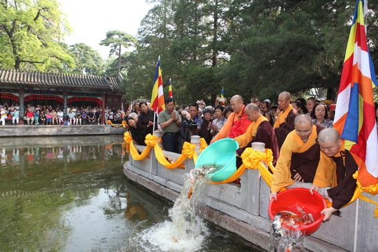 「灵光寺」北京灵光寺隆重举行2013年晒经大法会