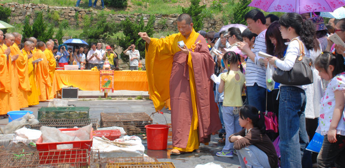 「红安」武汉归元护生群联合红安天台寺举行大型放生法会 「红安」武汉归元护生群联合红安天台寺举行大型放生法会