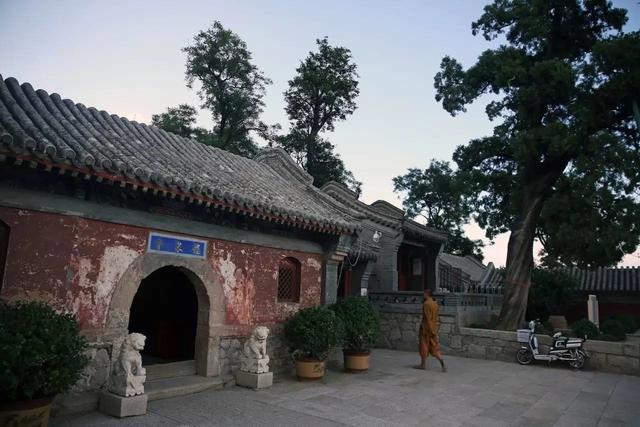 「龙泉寺」为什么理科男喜欢皈依佛门？