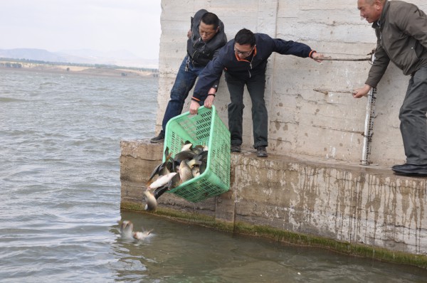 「放生功德」2014年5月4日山西广灵极乐寺放生活动在蔚县水库举行 「放生功德」2014年5月4日山西广灵极乐寺放生活动在蔚县水库举行