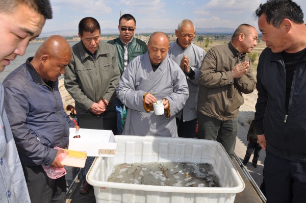 「放生功德」2014年5月4日山西广灵极乐寺放生活动在蔚县水库举行 「放生功德」2014年5月4日山西广灵极乐寺放生活动在蔚县水库举行