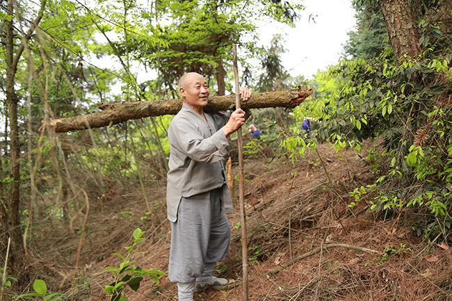 「东林寺」江西东林寺净土苑僧俗二众为祖庭斋堂出坡运柴
