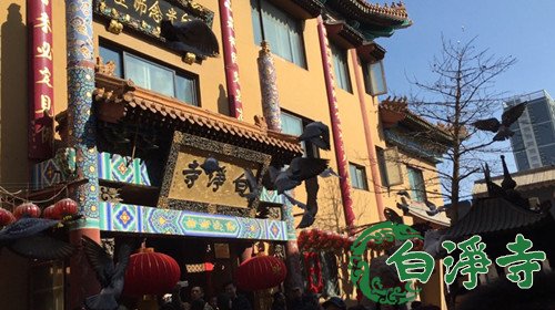 「佛教」河北廊坊白净寺举行放生暨顺星君祈福大法会
