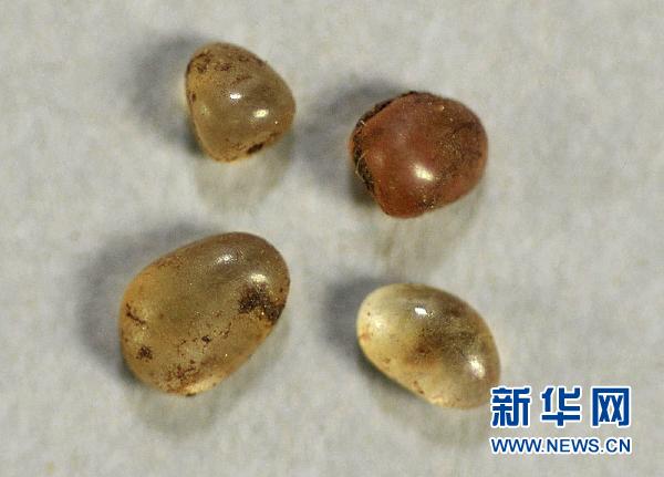 「博物馆」内蒙赤峰辽上京博物馆：在上京遗址内发现48颗佛舍利
