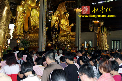 「佛教」厦门南普陀寺隆重举行皈依法会