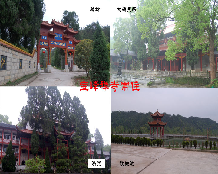 「升学考试」江西佛学院2010年招生简章