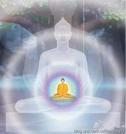 「释迦牟尼」佛陀法身遍满虚空 ，佛指舍利仍有生命