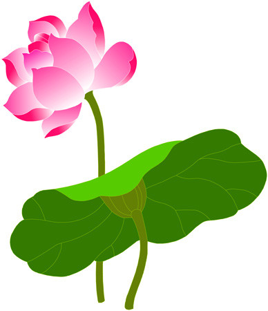 「佛教」莲花与佛教的渊源