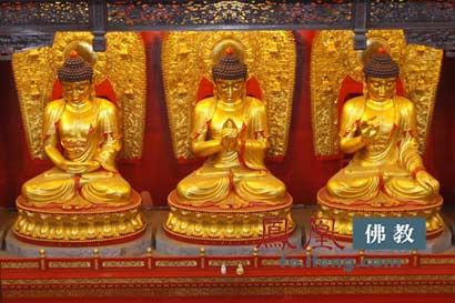 「佛学」佛说人类贪图YIN欲死后轮回恶道万劫不复