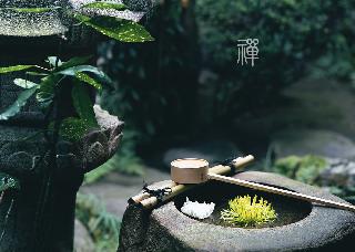 「佛像」什么是佛？佛像的意思？磕头的意思？烧香的意思？读经的目的
