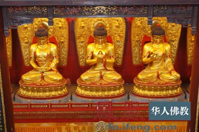 「佛学」自从一读《楞严》后，不看人间糟粕书！