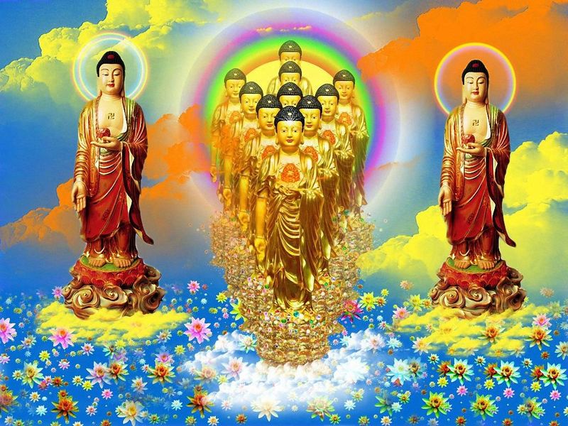 「释迦牟尼」阿弥陀佛与释迦牟尼佛到底是什么关系