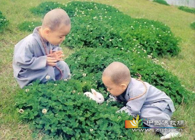 「佛教」和尚为何剔光头