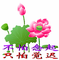 「因果系统」为何“菩萨怕因，众生怕果”