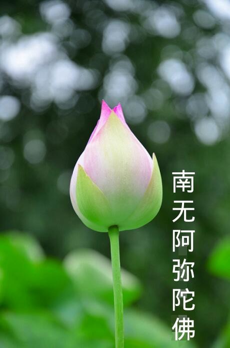 「佛学」佛经谈有十二种病及对症之药