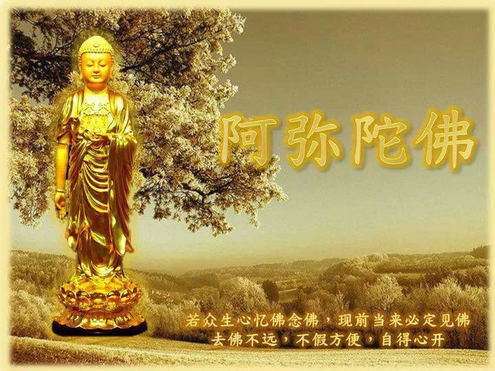 「圣诞节」农历十一月十七日阿弥陀佛圣诞的由来