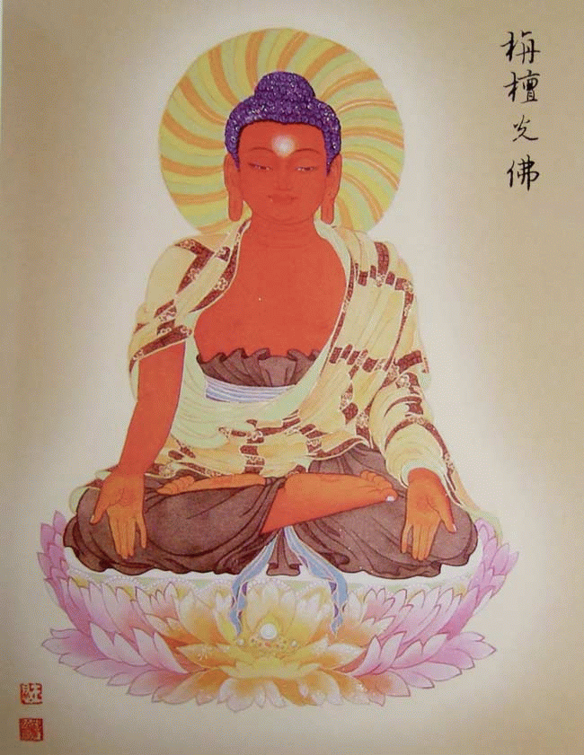 《徐平的佛教绘画艺术博客》《八十八佛大忏悔文(八十八佛宝相庄严 十方世界亦无比)》  - 智慧光明 遍照十方 - 世俗广告 淫杀罪重 诸功德中 放生第一