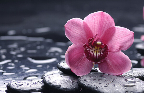 「释迦牟尼」佛陀揭秘你此生能遇到善知识的前世因果 「释迦牟尼」佛陀揭秘你此生能遇到善知识的前世因果