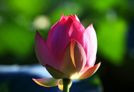 「文化」世间一切如同泡沫转瞬即逝 「文化」世间一切如同泡沫转瞬即逝