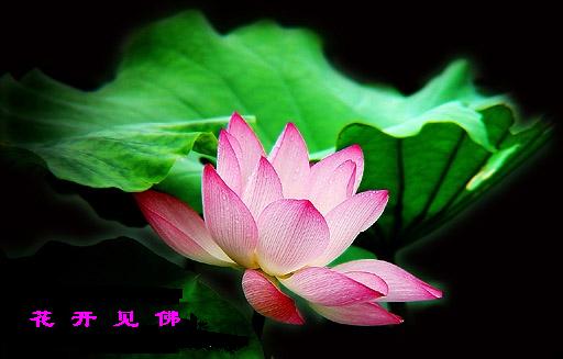 「菩提心」持午是为了激发众生的菩提心和慈悲心