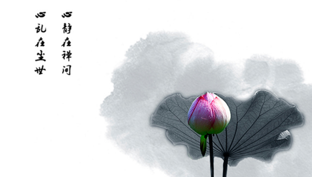 「馒头」一个馒头的因果，老鼠竟然化身为人上门答谢