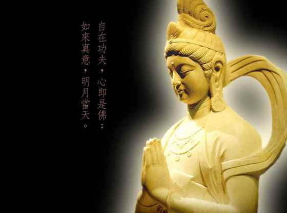 「佛教」老鼠轮回转世报杀身之仇