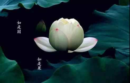 「文化」积德无需人见，行善自有天知