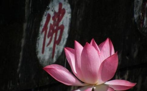 「圣者」为何圣者并不主动干预世事