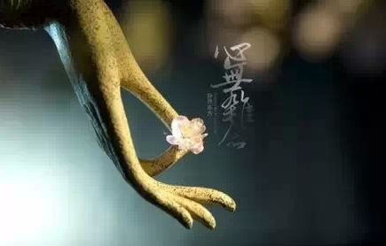 「佛教」净土法门：因果报应，成佛都不能避免!