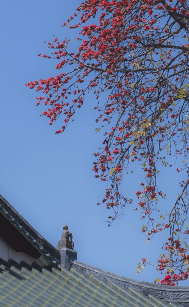 「佛教」光孝寺故事：王园虞苑化祇园