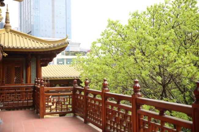 「佛教」这个词出自佛教 还有一段故事