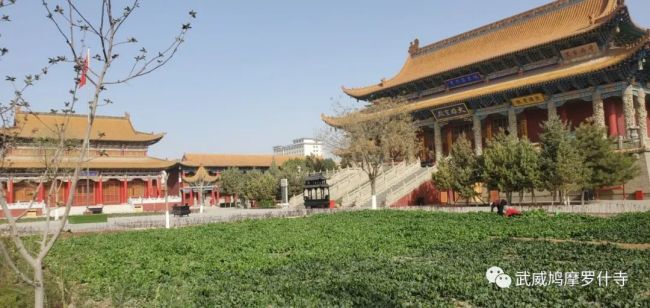 「鸠摩罗什」一代宗师鸠摩罗什